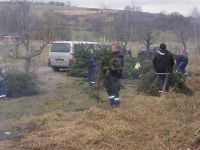 Weihnachtsbaum Verbrennung 2007 08